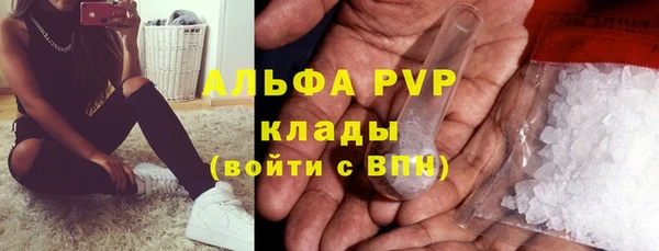 дмт Осинники