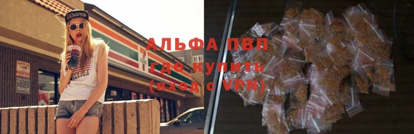 индика Переславль-Залесский