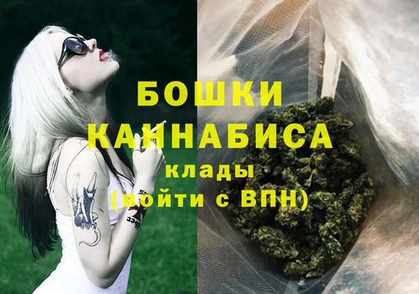 индика Переславль-Залесский
