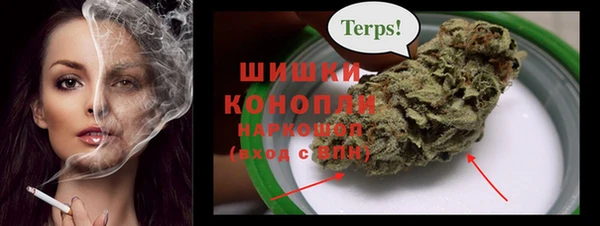 дживик Павлово