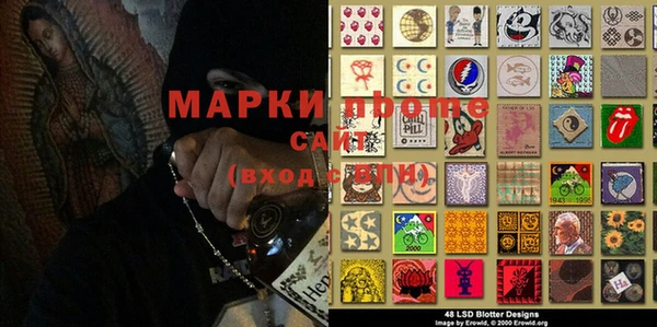 индика Переславль-Залесский