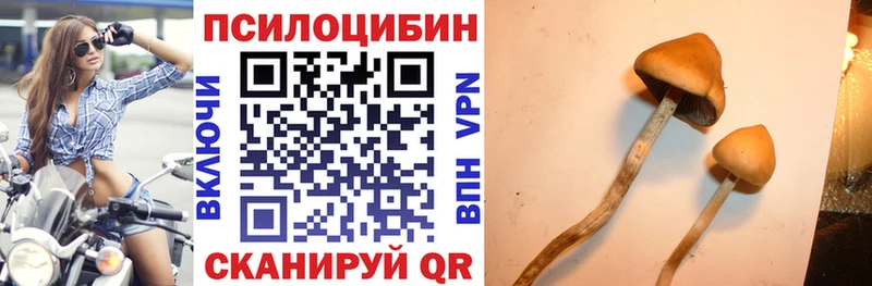 Псилоцибиновые грибы мухоморы  Стародуб 