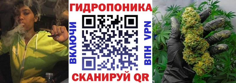 гидра ссылки  Стародуб  Марихуана Ganja 